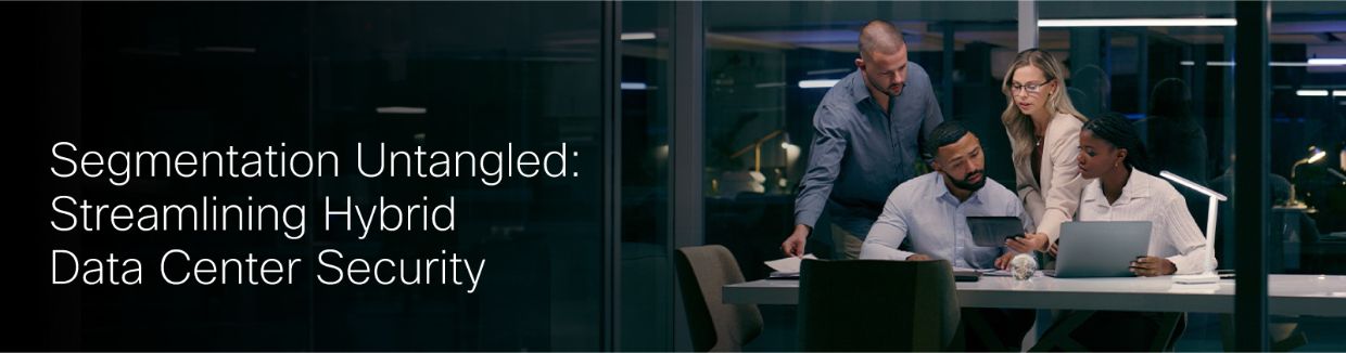 Segmentation Untangled Banner